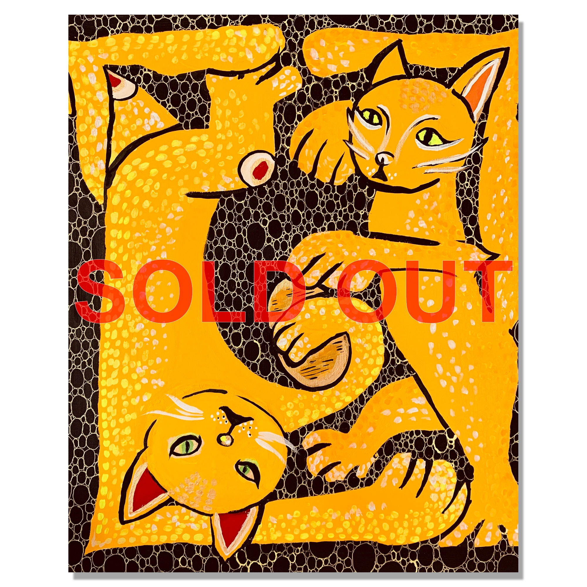cat_2yellow